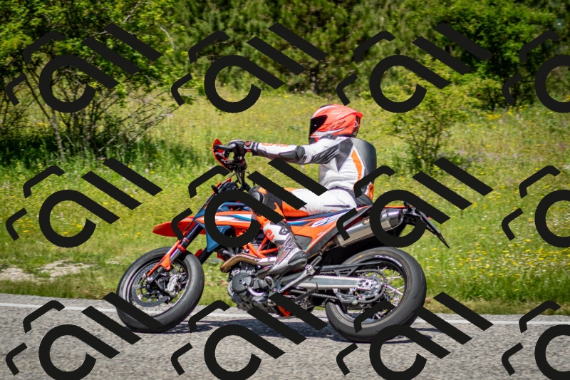 202506071206-DSC_5124_c2