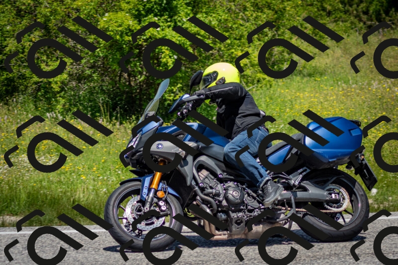 202506071206-DSC_5130_c2