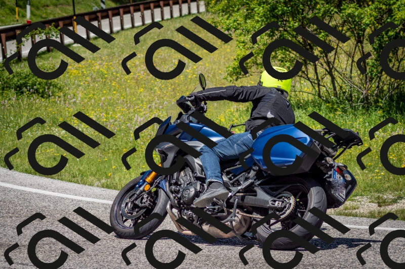 202506071206-DSC_5131_c2