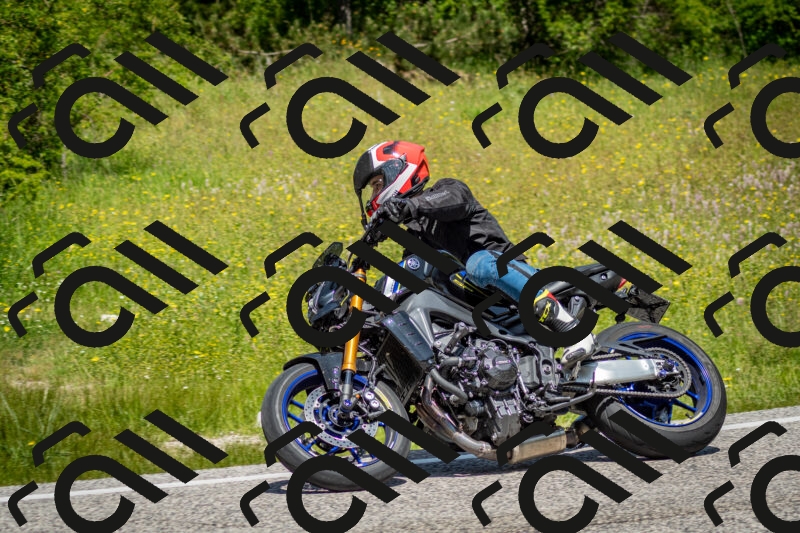 202506071207-DSC_5133_c2