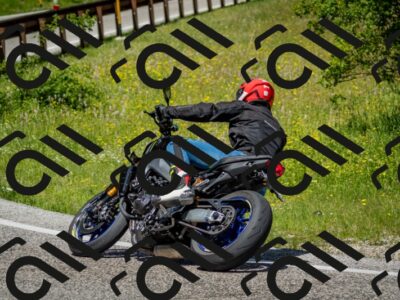 202506071207-DSC_5134_c2