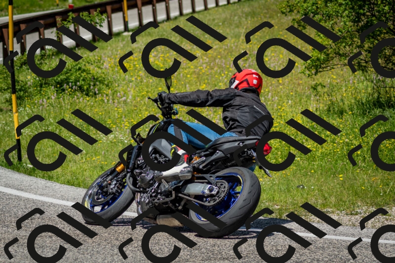 202506071207-DSC_5134_c2