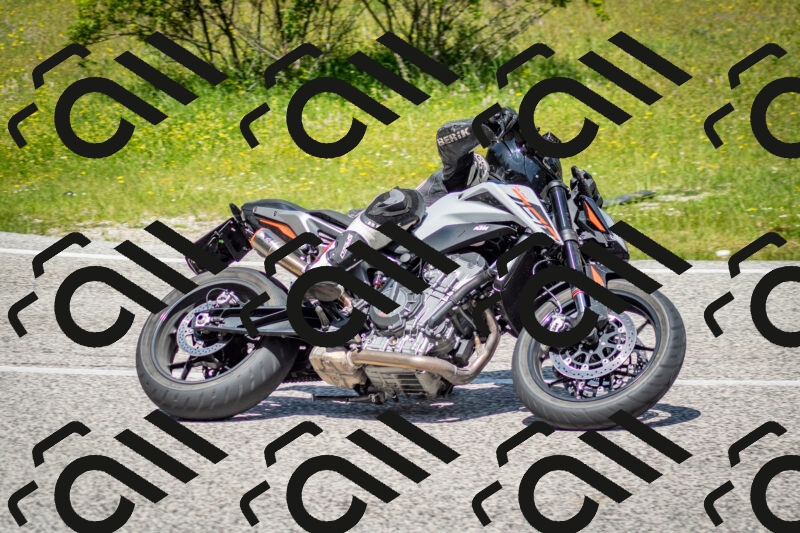 202506071208-DSC_5156_c2