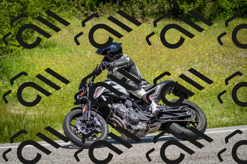 202506071209-DSC_5162_c2