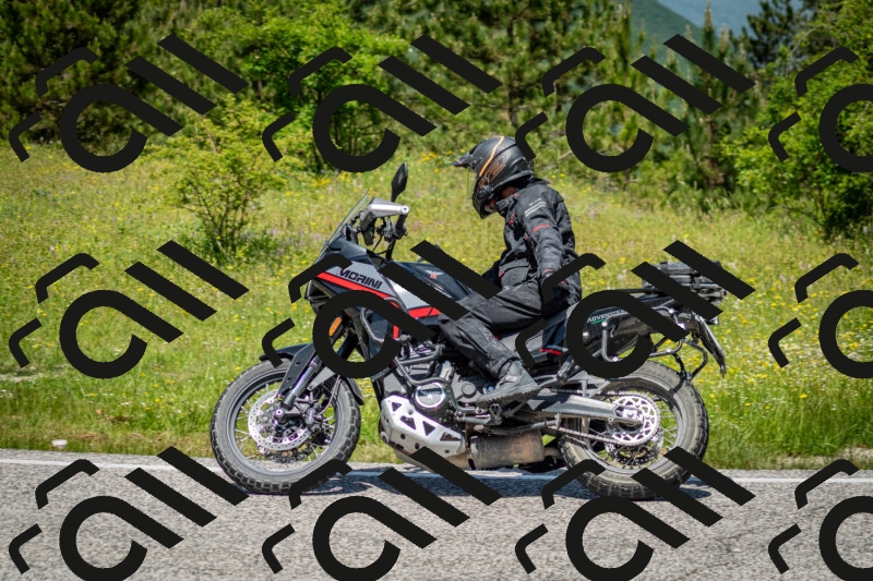 202506071214-DSC_5190_c2