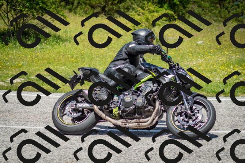 202506071216-DSC_5194_c2