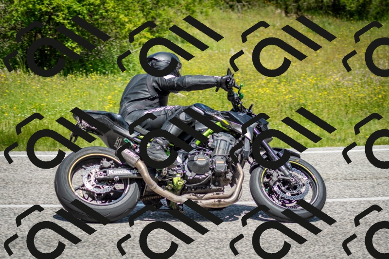 202506071216-DSC_5195_c2