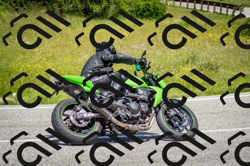 202506071216-DSC_5198_c2