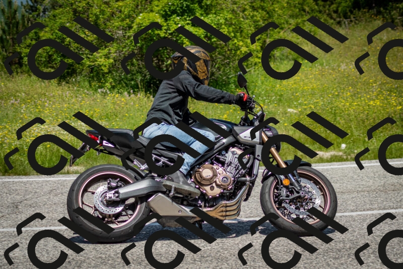 202506071216-DSC_5201_c2