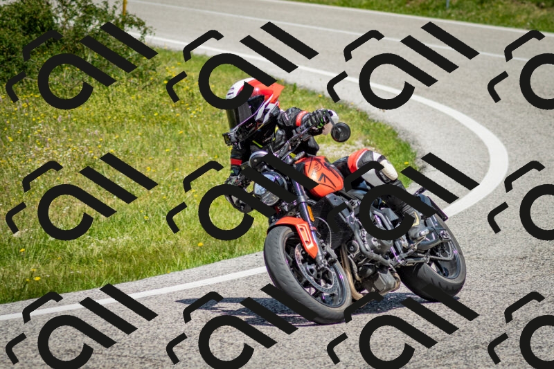 202506071217-DSC_5207_c2