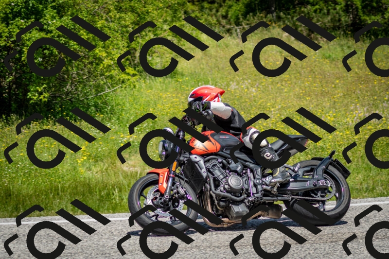 202506071217-DSC_5208_c2