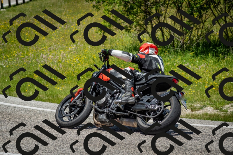 202506071217-DSC_5209_c2