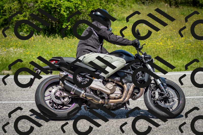 202506071217-DSC_5211_c2