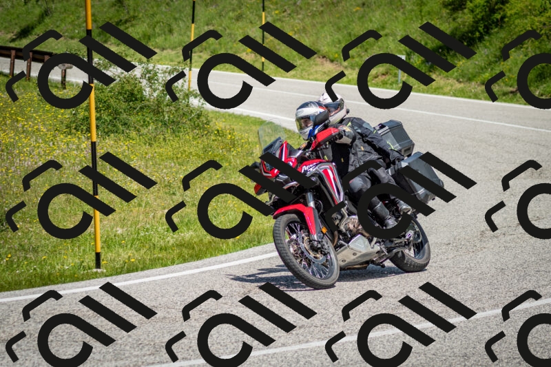 202506071218-DSC_5213_c2