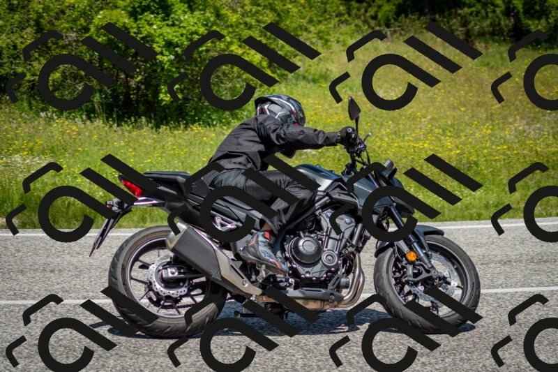 202506071218-DSC_5217_c2