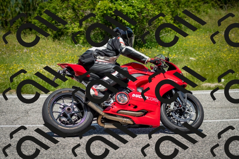 202506071219-DSC_5223_c2