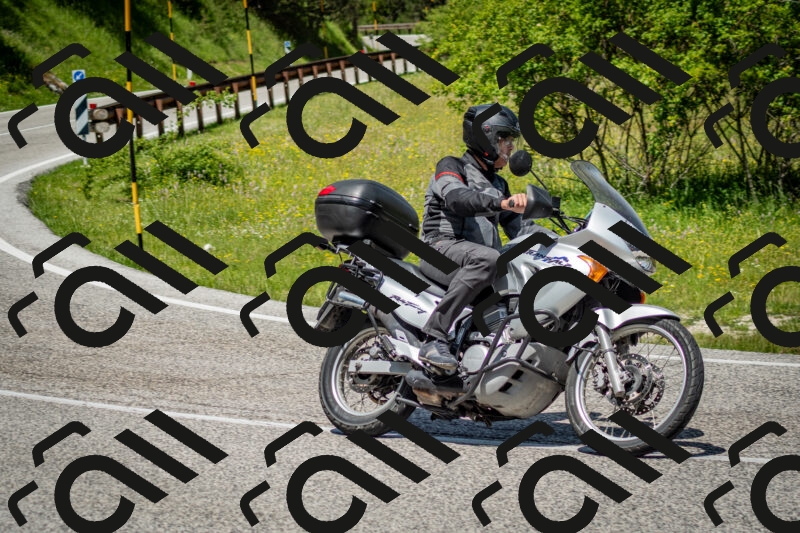 202506071219-DSC_5226_c2