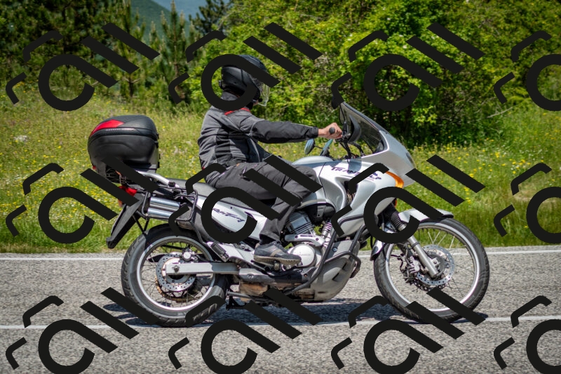 202506071219-DSC_5227_c2