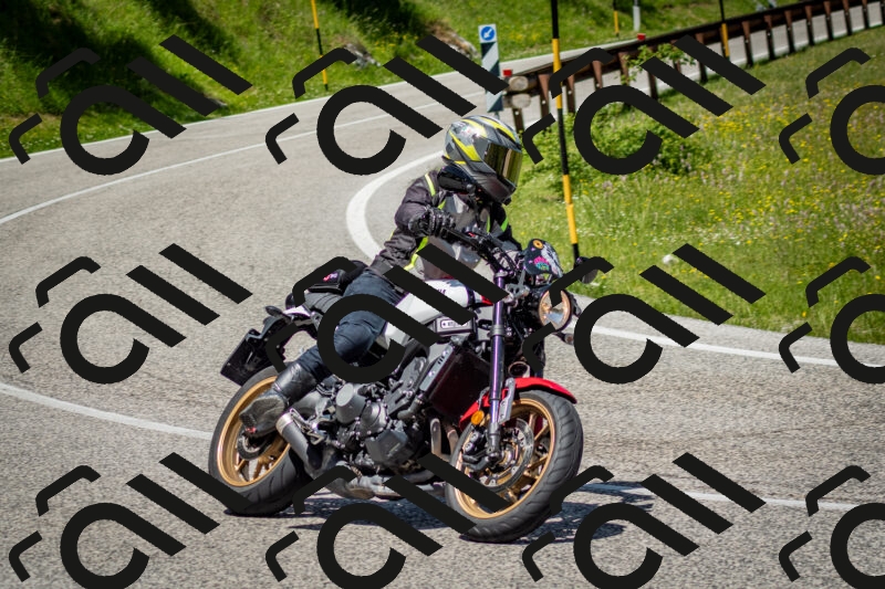 202506071220-DSC_5228_c2