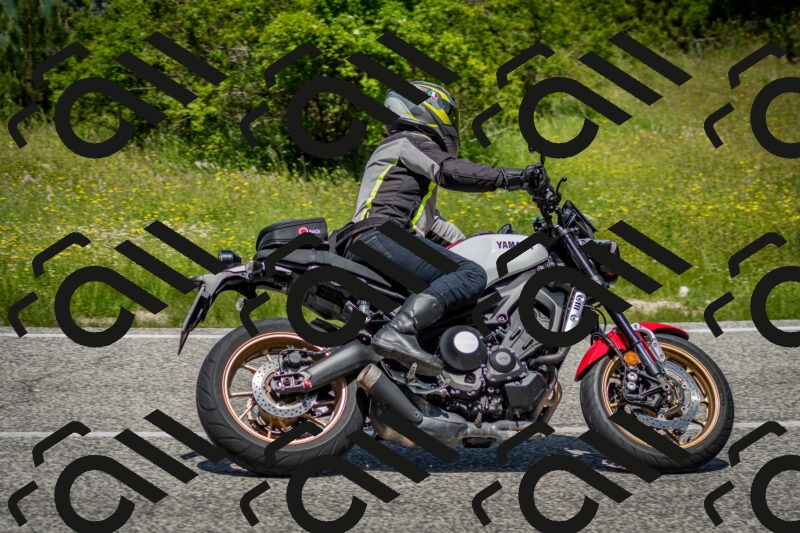 202506071220-DSC_5229_c2