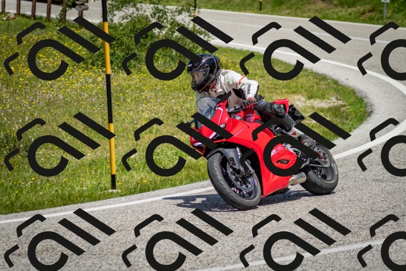 202506071221-DSC_5240_c2