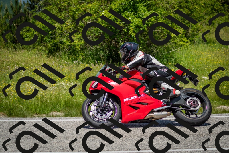 202506071221-DSC_5241_c2