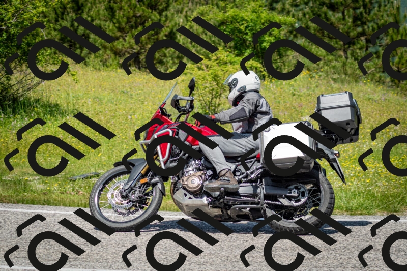 202506071223-DSC_5248_c2