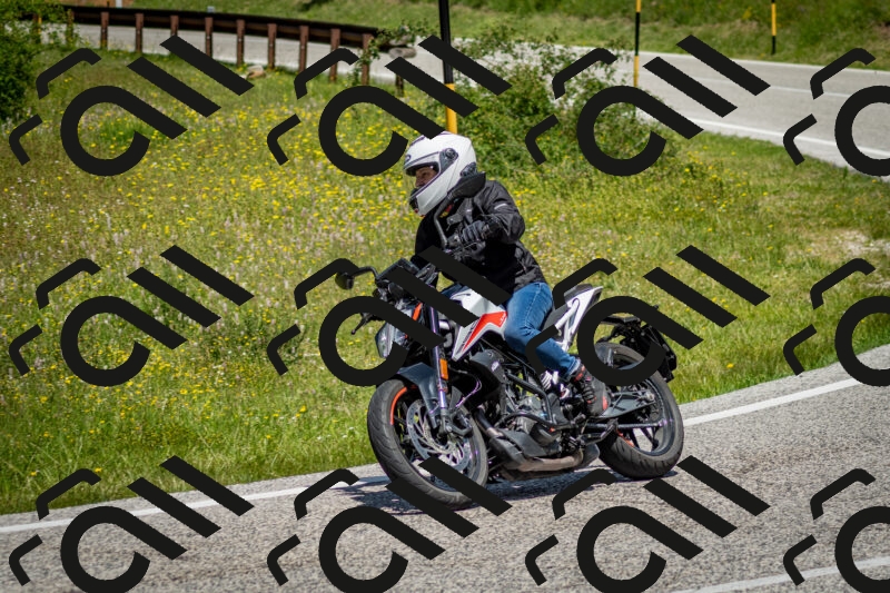 202506071223-DSC_5249_c2