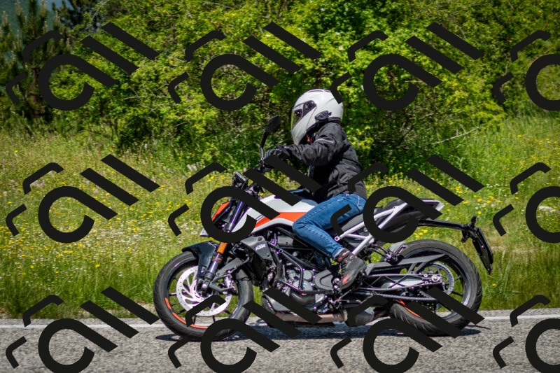 202506071223-DSC_5250_c2