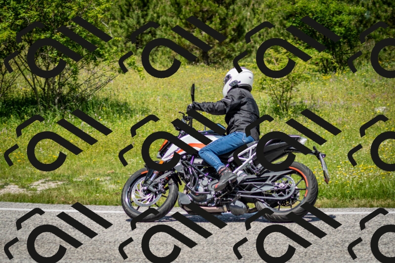 202506071223-DSC_5251_c2