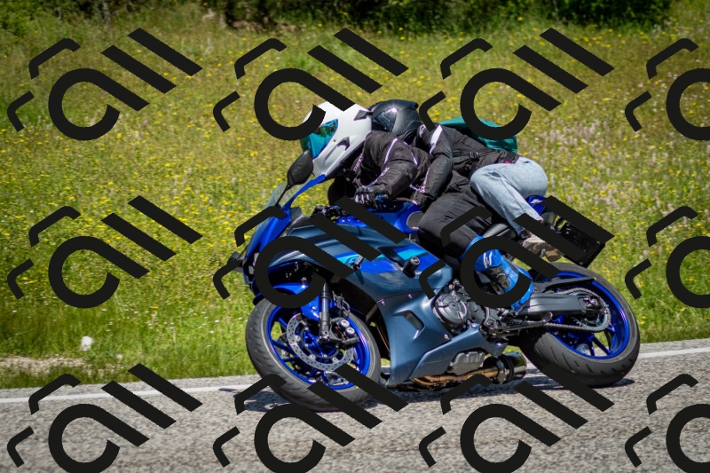 202506071223-DSC_5253_c2