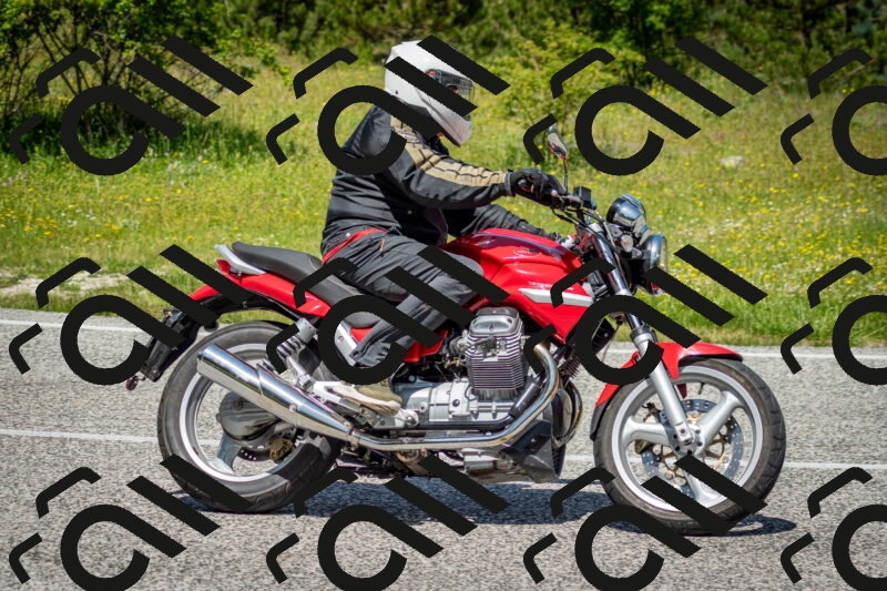 202506071225-DSC_5260_c2