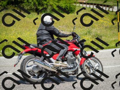 202506071225-DSC_5261_c2