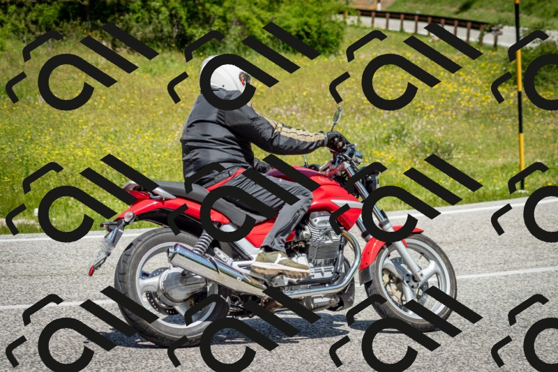 202506071225-DSC_5261_c2