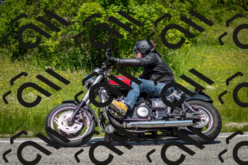 202506071225-DSC_5263_c2