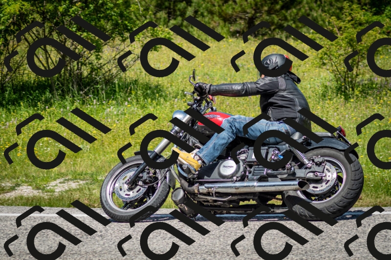 202506071225-DSC_5264_c2