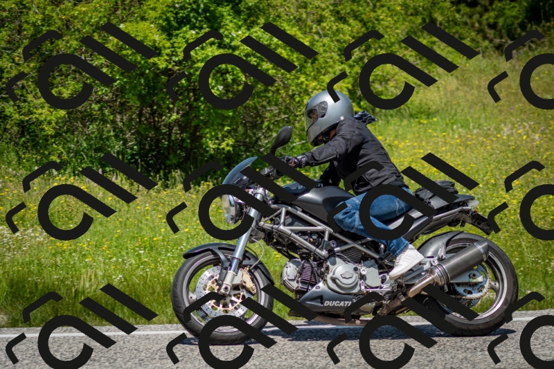 202506071225-DSC_5266_c2