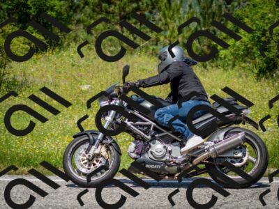 202506071225-DSC_5267_c2