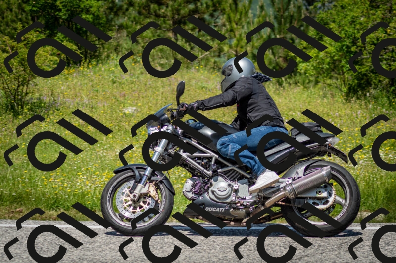 202506071225-DSC_5267_c2