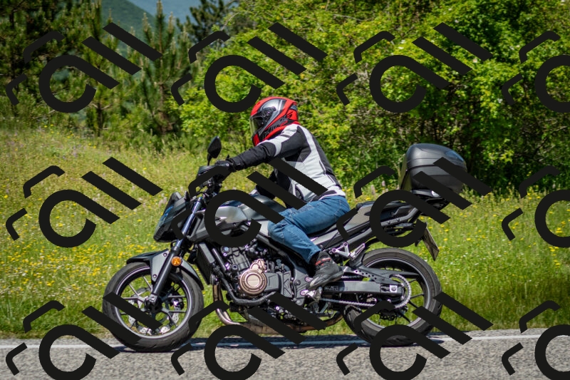 202506071225-DSC_5269_c2