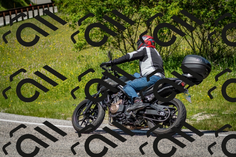 202506071225-DSC_5270_c2