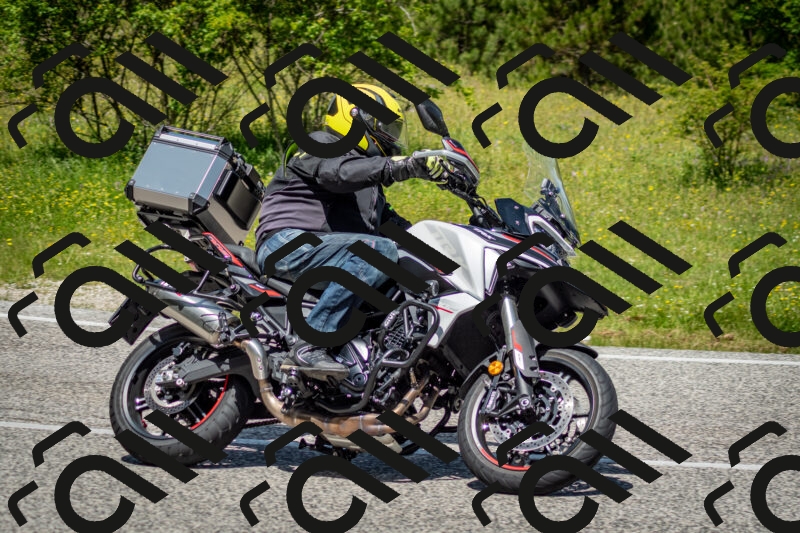 202506071225-DSC_5272_c2