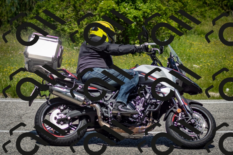 202506071225-DSC_5273_c2