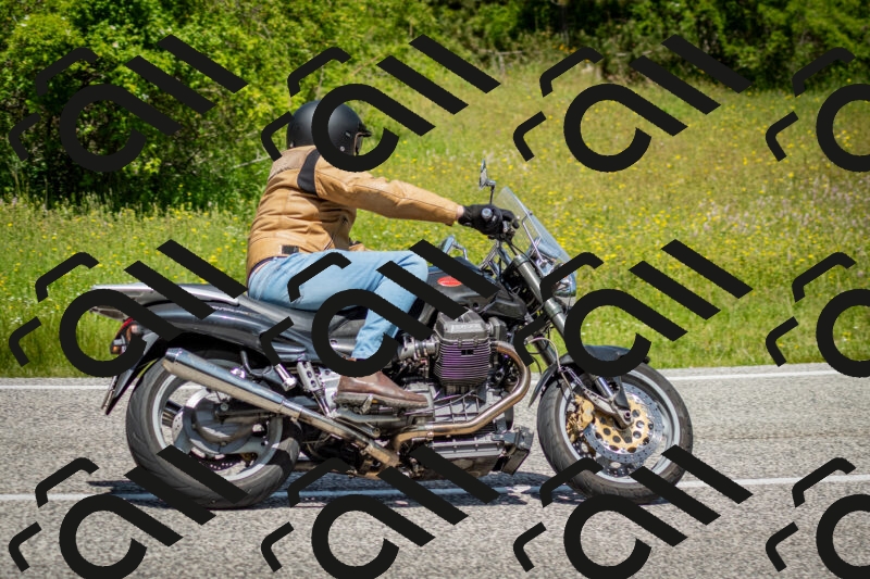 202506071225-DSC_5276_c2