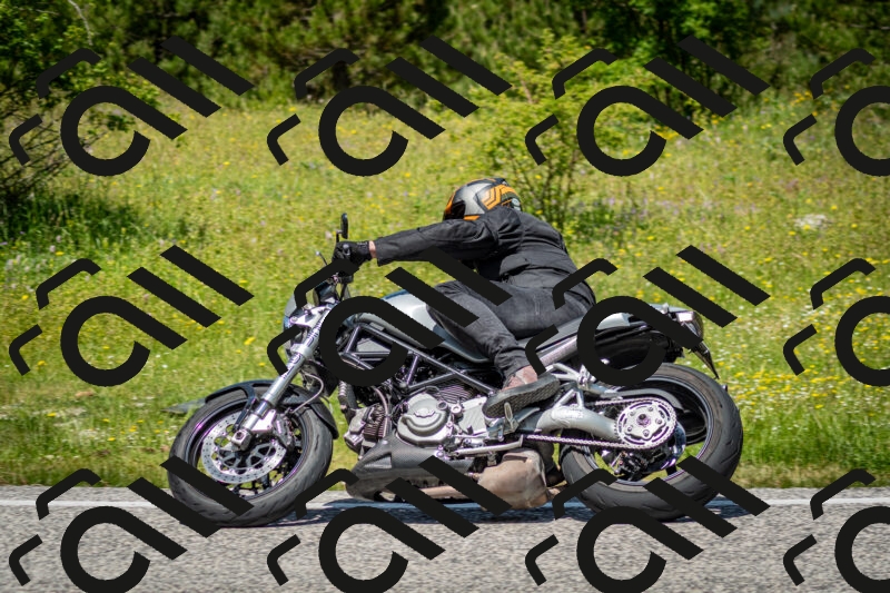 202506071227-DSC_5284_c2