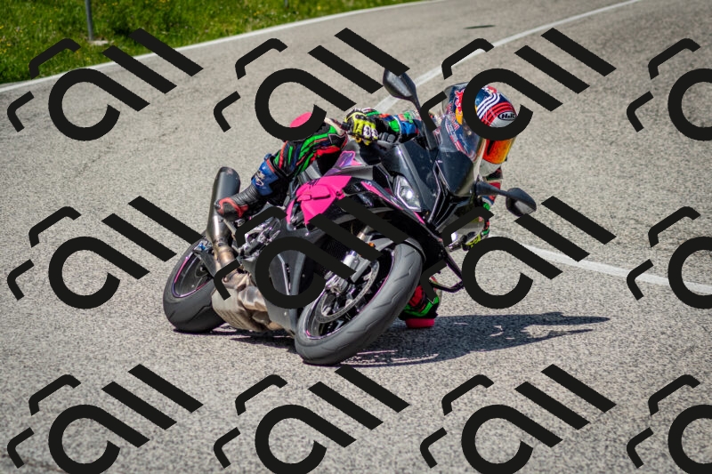 202506071228-DSC_5286_c2