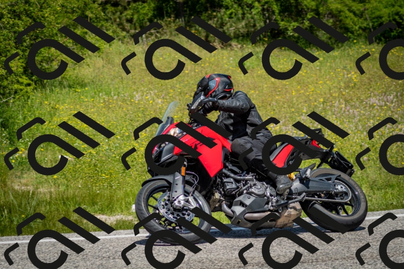 202506071229-DSC_5294_c2