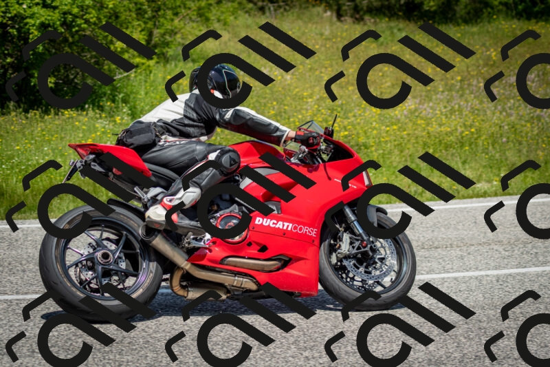 202506071229-DSC_5299_c2