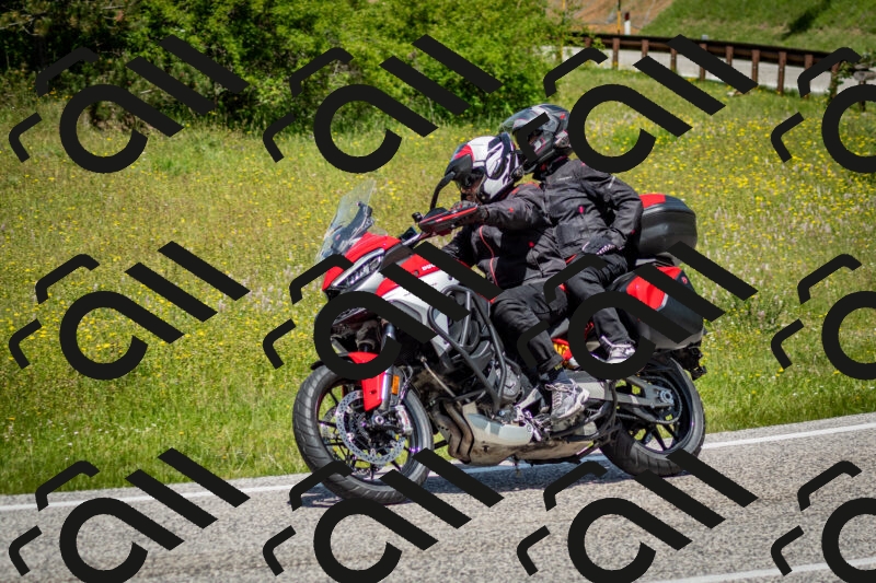 202506071229-DSC_5300_c2