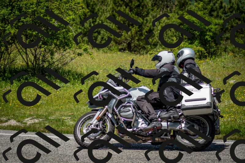 202506071230-DSC_5304_c2